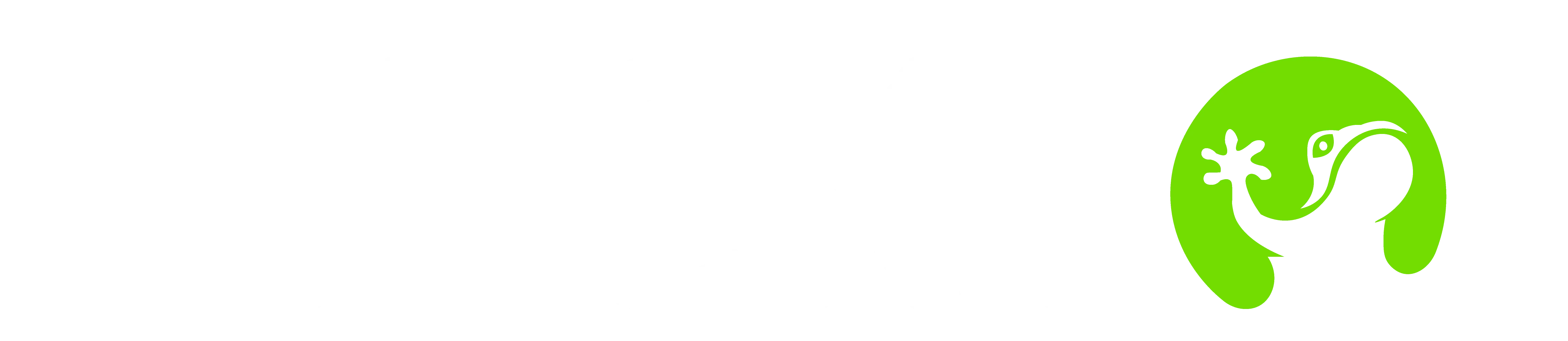 Heckto Logo